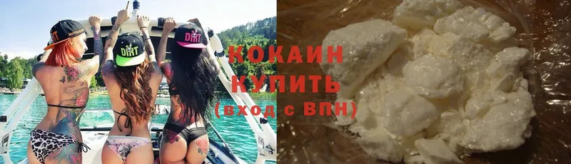 Cocaine Эквадор  цена   Богородицк 